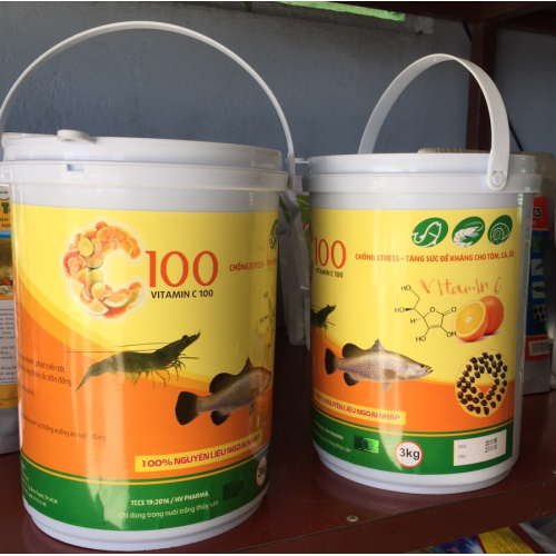 C100 (Vitamin C 100)