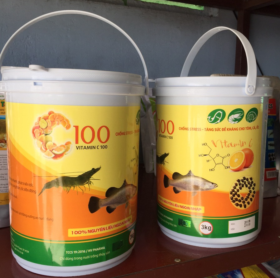 C100 (Vitamin C 100)