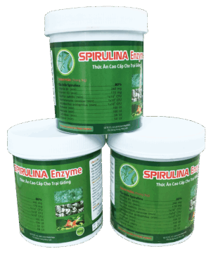 Spirulina Enzyme (100gr)