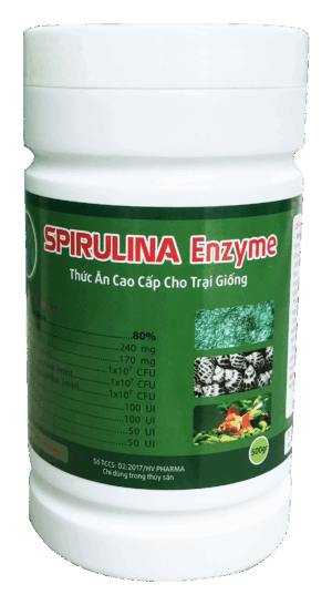 Spirulina Enzyme (500gr)